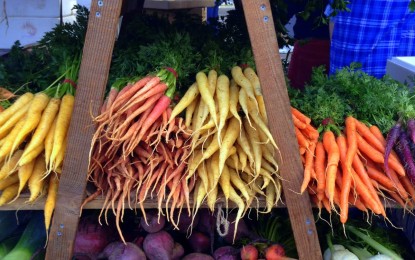 Hartland Farmers’ Market starts its new season