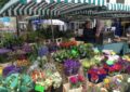 Meet Craig’s flower power stall at Taunton’s Farmers’ Market