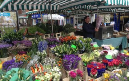 Meet Craig’s flower power stall at Taunton’s Farmers’ Market